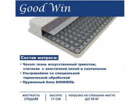 Матрас Good Win (Гуд Вин) в Нижнем Куранахе - nizhnij-kuranah.mebel-nsk.ru | фото